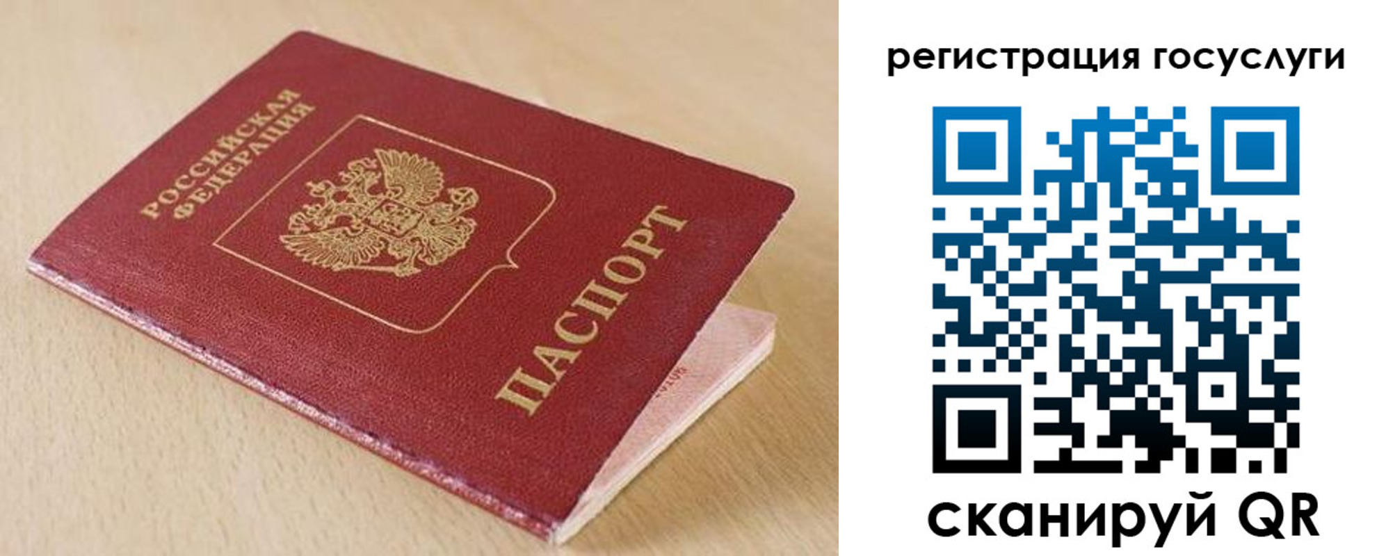 временная регистрация гарантия в Павловске