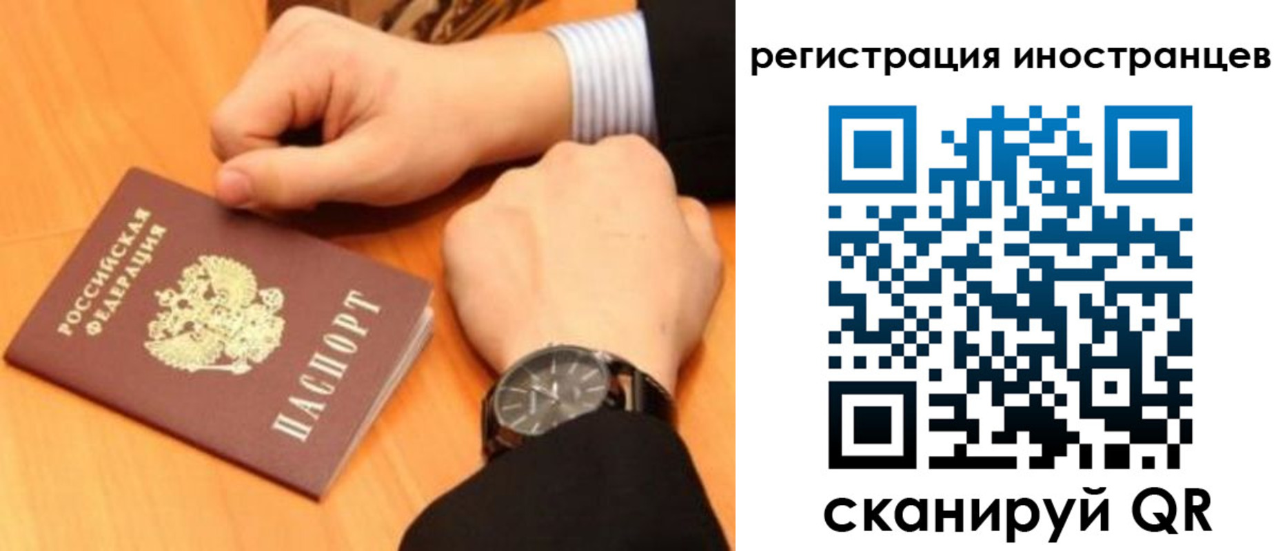 прописка гарантия в Павловске